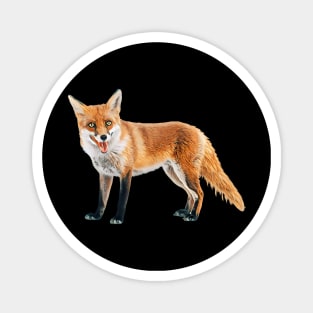 Fox - Woodland Themed Kids Room, Funny Gifts For Forester, Cute Animals Magnet